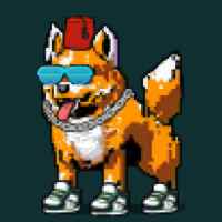 DogePunks #2662