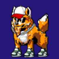 DogePunks #2227