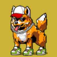 DogePunks #1876