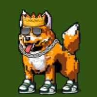 DogePunks #1512
