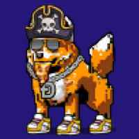 DogePunks #2988