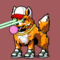 DogePunks #1213