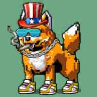 DogePunks #4109
