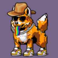 DogePunks #2095