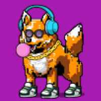 DogePunks #2430