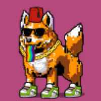 DogePunks #3895