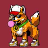 DogePunks #2306