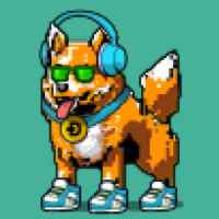 DogePunks #1737