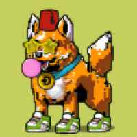 DogePunks #2027