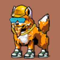 DogePunks #3007