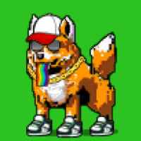 DogePunks #2551