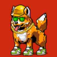 DogePunks #3303