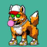 DogePunks #1362