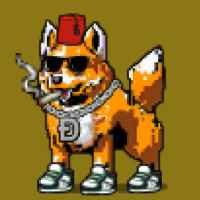 DogePunks #4342