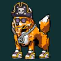 DogePunks #1735