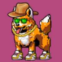 DogePunks #892