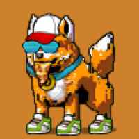DogePunks #4603