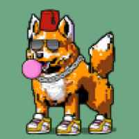 DogePunks #704