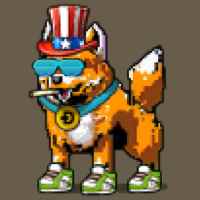 DogePunks #935