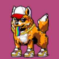 DogePunks #4682