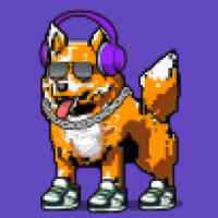DogePunks #2842