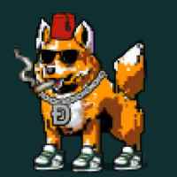 DogePunks #259