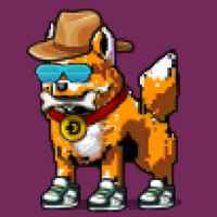 DogePunks #1613