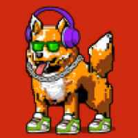DogePunks #975
