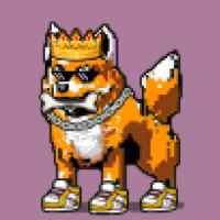 DogePunks #2355