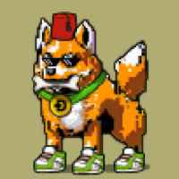 DogePunks #3998