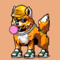 DogePunks #3516
