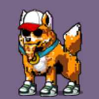 DogePunks #619