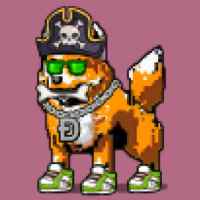 DogePunks #455