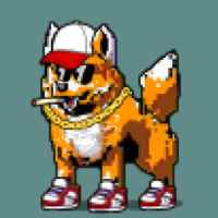 DogePunks #3599