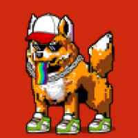 DogePunks #1754