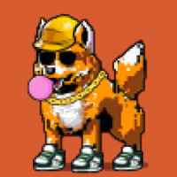 DogePunks #649