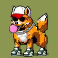 DogePunks #3219