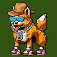 DogePunks #4205