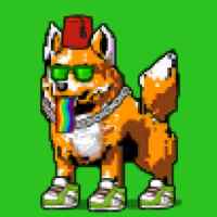 DogePunks #1159