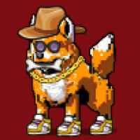 DogePunks #3792