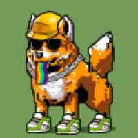 DogePunks #302