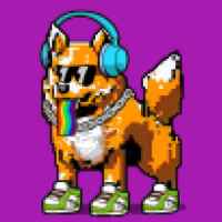 DogePunks #1877