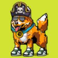 DogePunks #851
