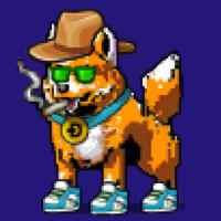 DogePunks #1988