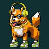 DogePunks #2046