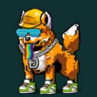 DogePunks #1012