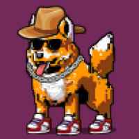 DogePunks #3566
