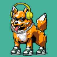 DogePunks #3094