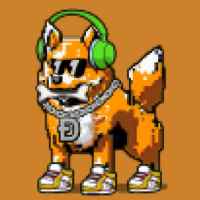 DogePunks #4341