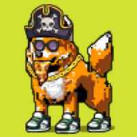 DogePunks #673